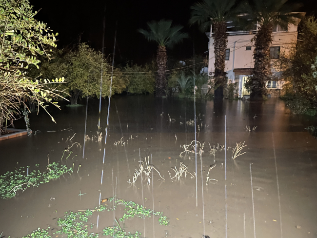 Muğla'da sağanak: Dereler taştı, evler su altında kaldı