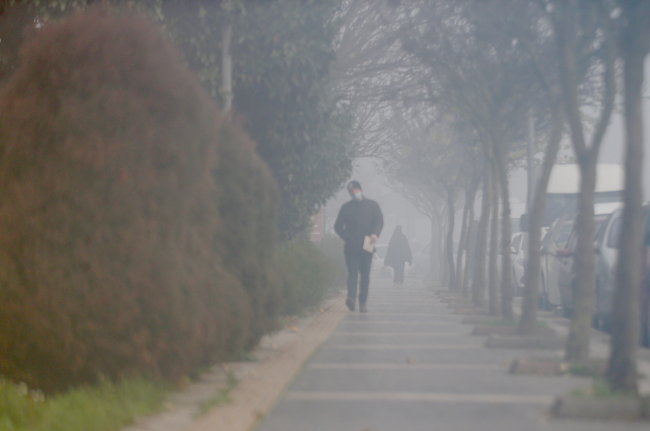 Sakarya ve Düzce'de sis etkili oldu