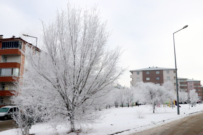 Erzurum, Ağrı ve Iğdır buz kesti
