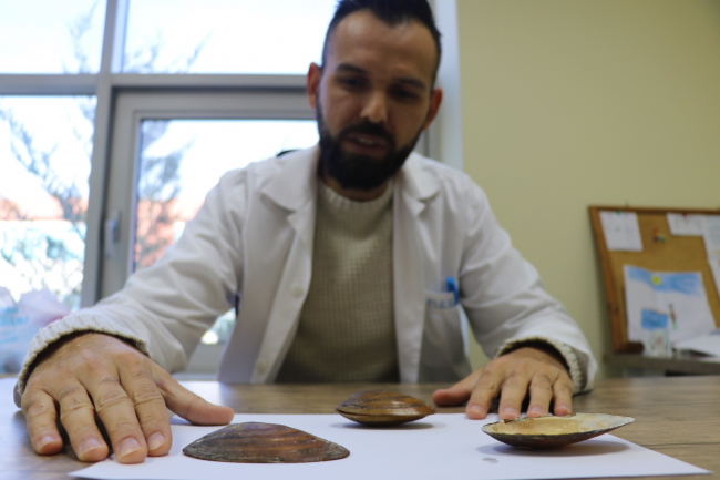 Ağrı ve Konya'da 2 yeni midye türü keşfedildi