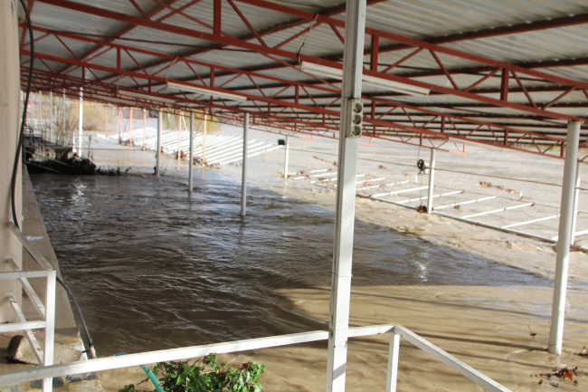 Antalya'da ırmak taştı: İş yerlerini ve tarım alanlarını su bastı