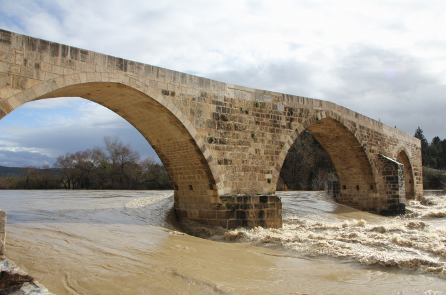 Antalya'da ırmak taştı: İş yerlerini ve tarım alanlarını su bastı