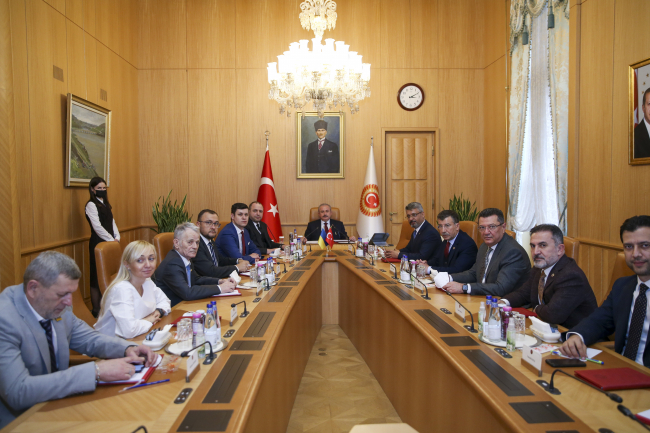 Mustafa Şentop, Ukrayna-Türkiye Parlamentolar Arası Dostluk Grubu Eş Başkanını kabul etti