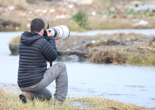 ‘Kül rengi yelkovan kuşu' Türkiye'de ilk kez görüldü