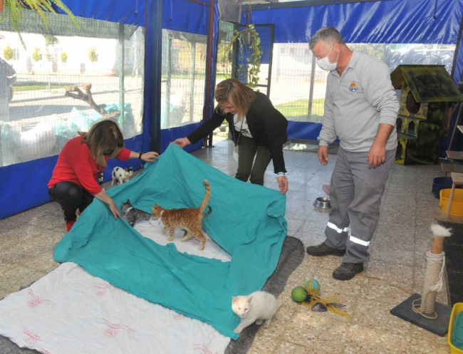 Hastanenin eski tekstil ürünleri barınakta yatak oluyor