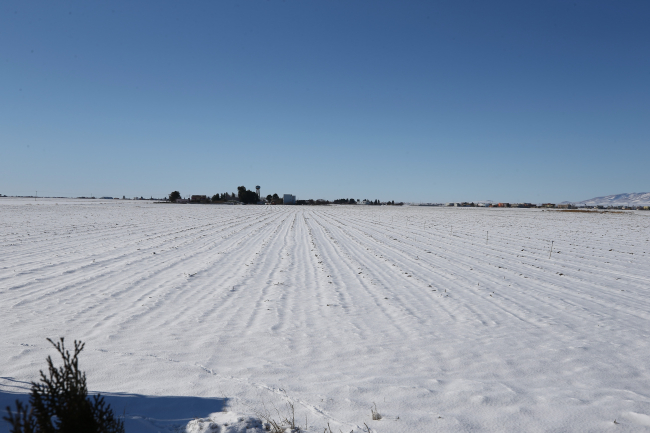 Güneydoğu'da kar yağışı çiftçinin yüzünü güldürdü