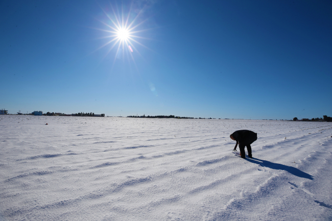 Güneydoğu'da kar yağışı çiftçinin yüzünü güldürdü