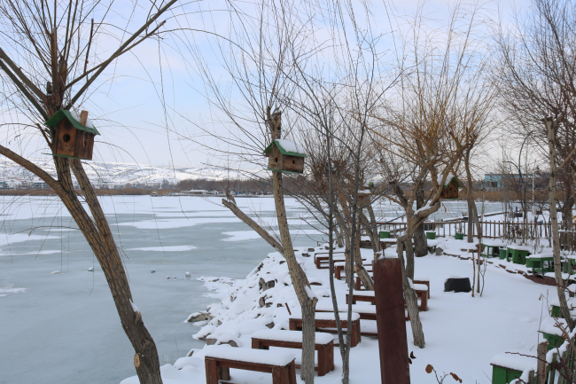 Mogan Gölü'nün yüzeyi dondu