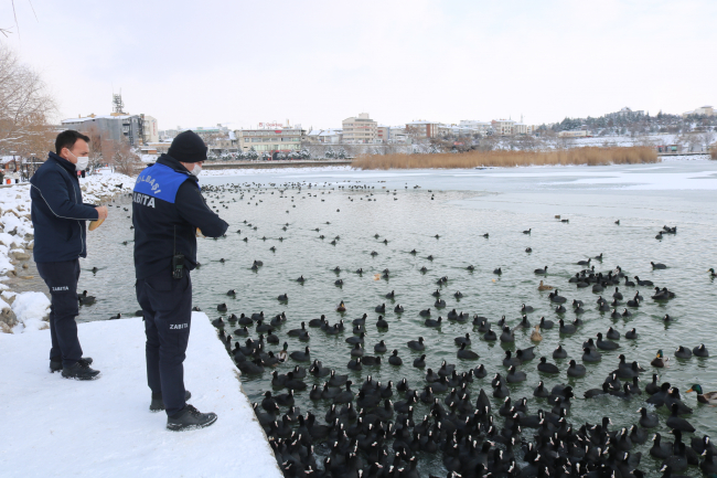 Mogan Gölü'nün yüzeyi dondu