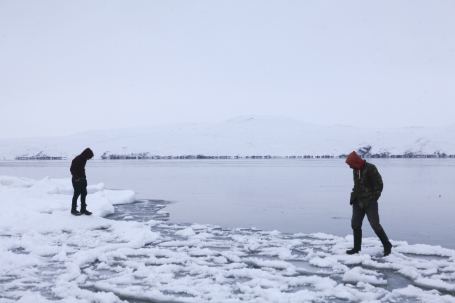 Nazik Gölü içindeki balıklarla birlikte dondu