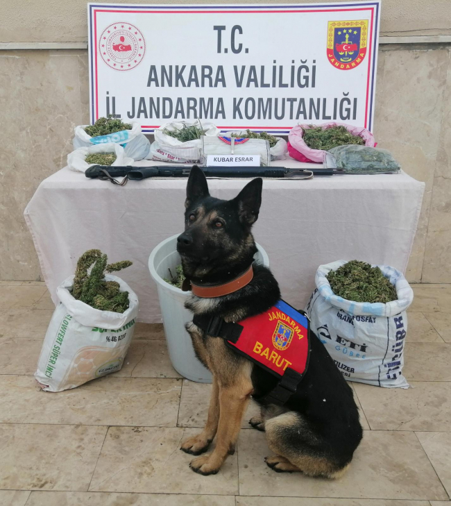 Ankara'da 7 kilo 860 gram uyuşturucu ele geçirdi