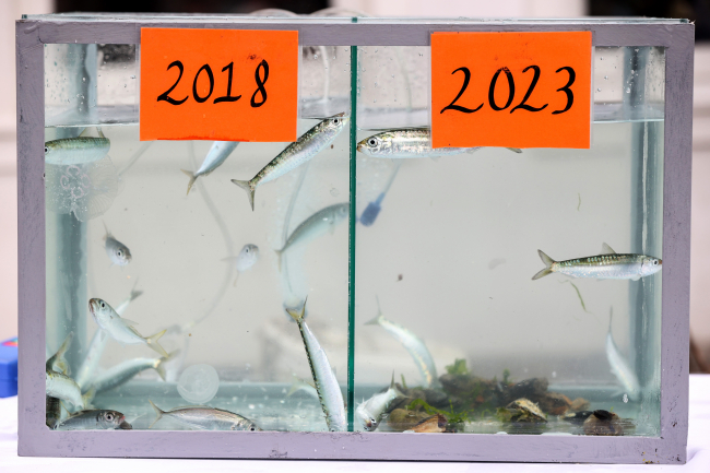 İstanbul'da deniz dibindeki atıklar temizleniyor