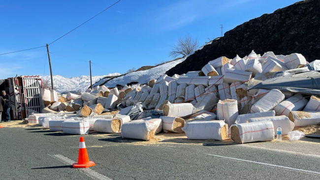 Devrilen tırdaki samanlar yola saçıldı