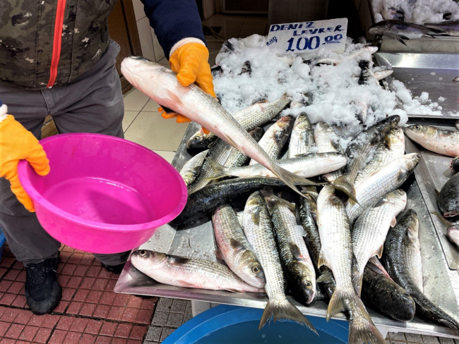 Karadeniz'de kötü hava balıkçılığı olumsuz etkiledi