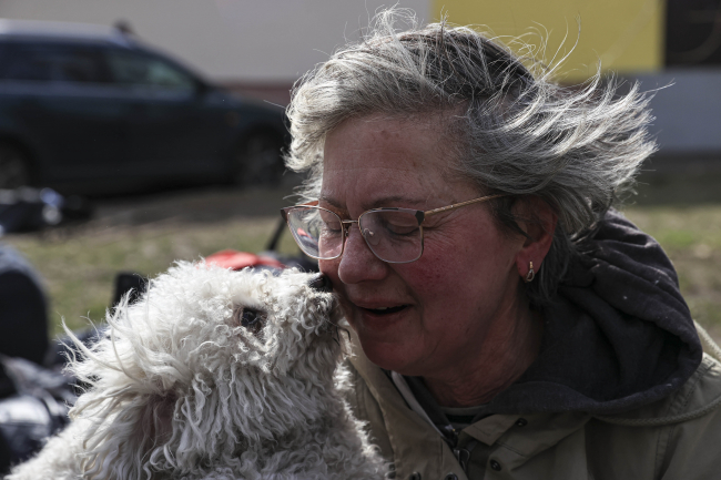 İrpin'den tahliye edilen Ukraynalı kadın 24 köpeği de Kiev'e getirdi