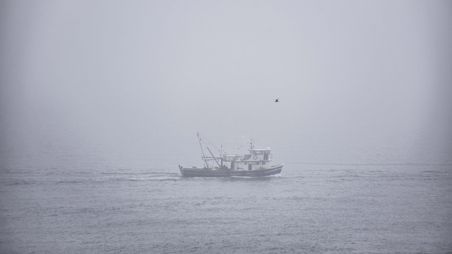 İstanbul'da balıkçılar denize açılamadı