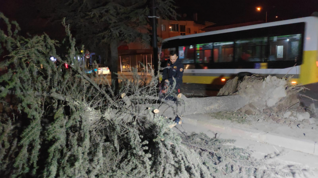 Bursa'da lodos etkili: Ağaçlar devrildi
