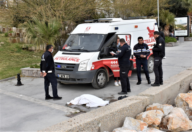 Bodrum'da suda hareketsiz halde bulunan deniz kaplumbağası tedaviye alındı