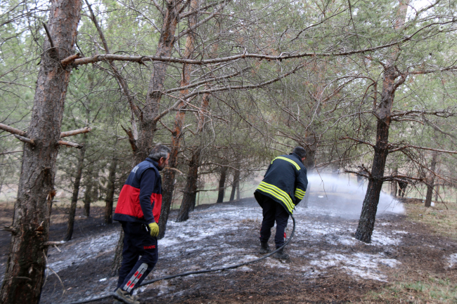 Sivas'ta mesire alanında çıkan yangın söndürüldü