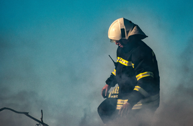 Muğla'da makilik yangını
