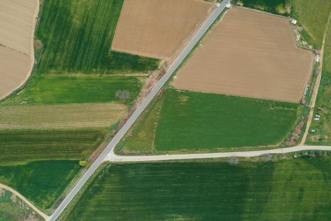 Yerli tohumla kuraklığa dayanıklı keten üretimi