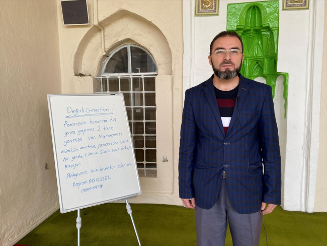 Camiye yuva yapan kumruya "imam" koruması