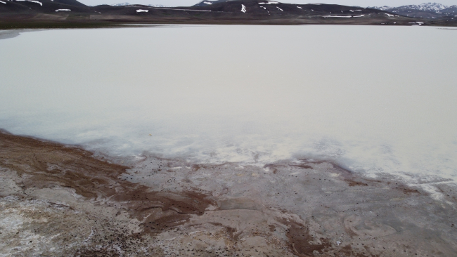 Tuz Gölü su tutmaya başladı