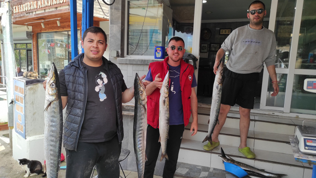 İzmirli balıkçıların yüzü Baraküdalarla güldü