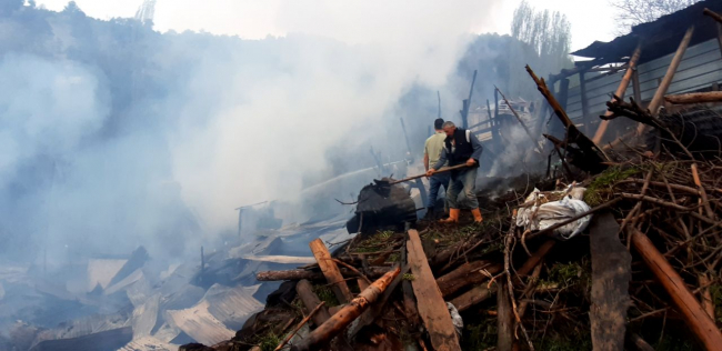 Bolu'da yangın: 3 ev kullanılamaz hale geldi