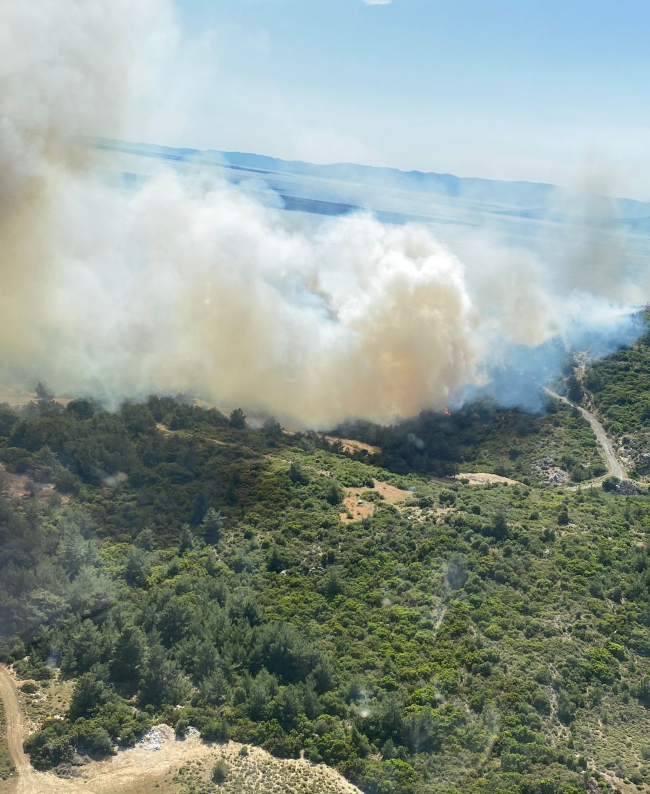 Urla ve Dikili'deki orman yangınları kontrol altına alındı