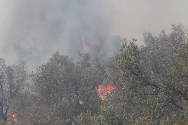 Antalya'da makilik alandaki yangın söndürüldü