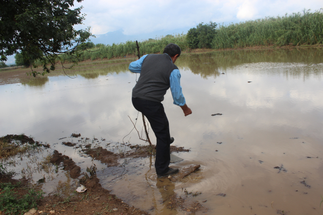 İzmir'de sağanak etkili
