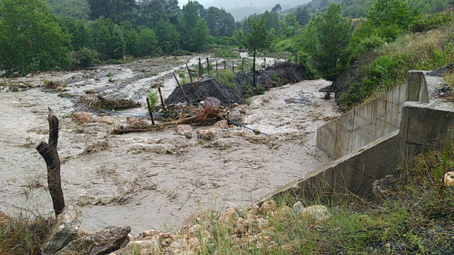 Adana'da sağanak: Dere taştı, evleri su bastı