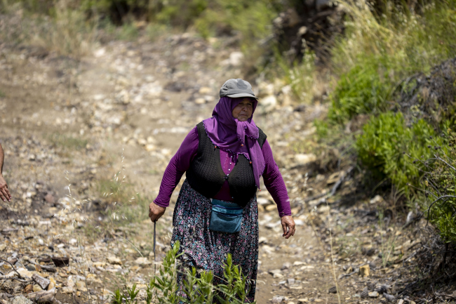 Hatice Çavuş'un fidanları boy verdi: Evladım gibi büyüyorlar
