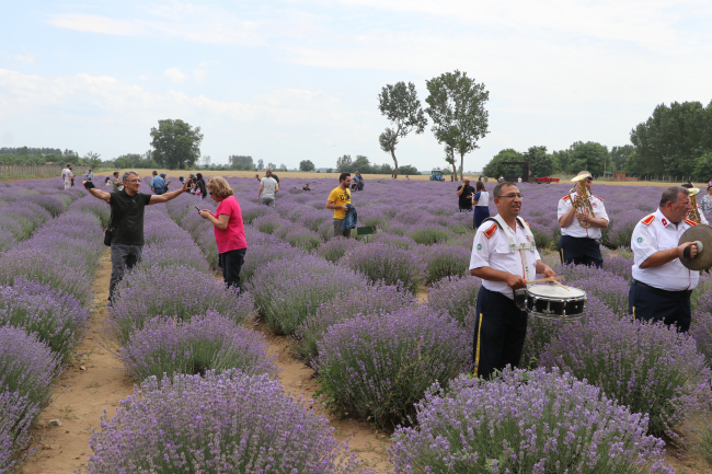 Edirne'deki lavanta tarlaları komşu illerden ziyaretçileri ağırlıyor