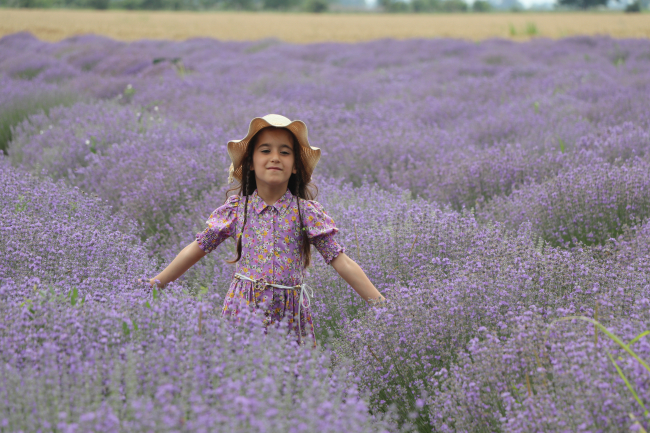 Edirne'deki lavanta tarlaları komşu illerden ziyaretçileri ağırlıyor