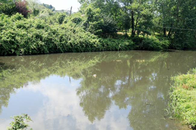 Riva Deresi'ndeki kirlilik tarım ve hayvancılığı olumsuz etkiliyor