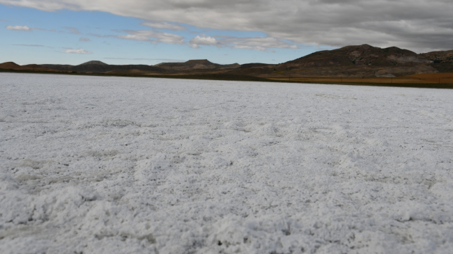 Kuruyan Tecer Gölü'nün yüzeyinde tuz tabakası kaldı