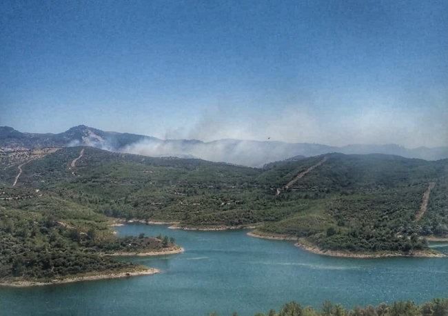 İzmir'de iki ayrı noktada çıkan orman yangınları kontrol altına alındı