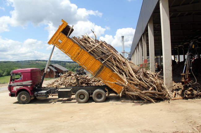 Sinop'ta, selin getirdiği ağaç parçaları enerjiye dönüşüyor