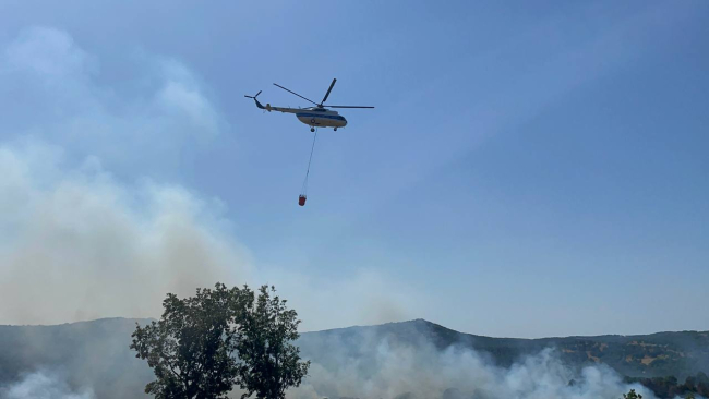 Kırklareli'nde orman yangını