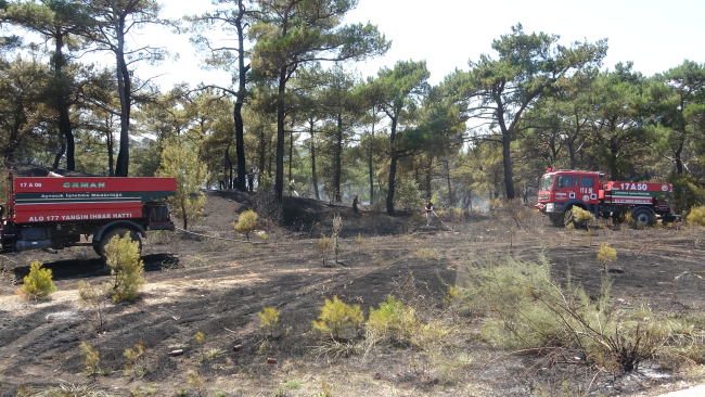 Kaza yapan araç orman yangınına neden oldu