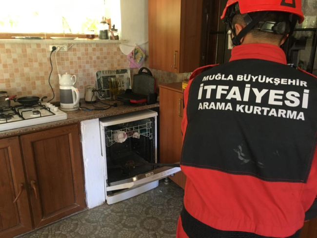 Muğla'da bir evin bulaşık makinesinden yılan çıktı