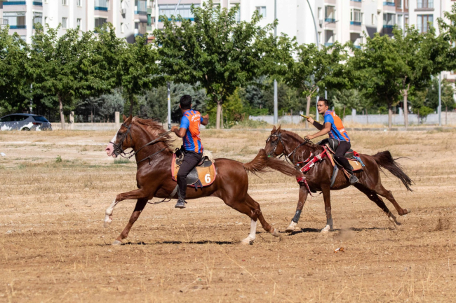 Malatya'daki kayısı festivalinde atlı cirit gösterisi sunuldu