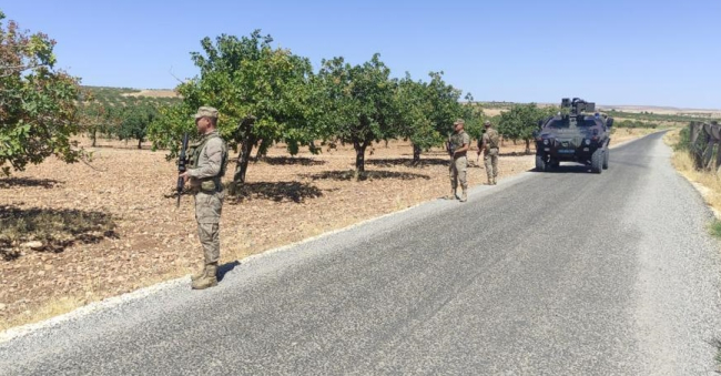 Gaziantep'te Antep fıstığı için koruma tedbirleri artırıldı