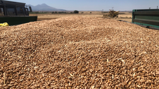 Deneme ekimi yapılan 