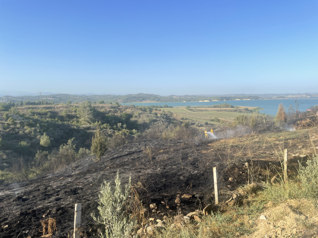 Adana'da yangın: Ormana sıçramadan kontrol altına alındı