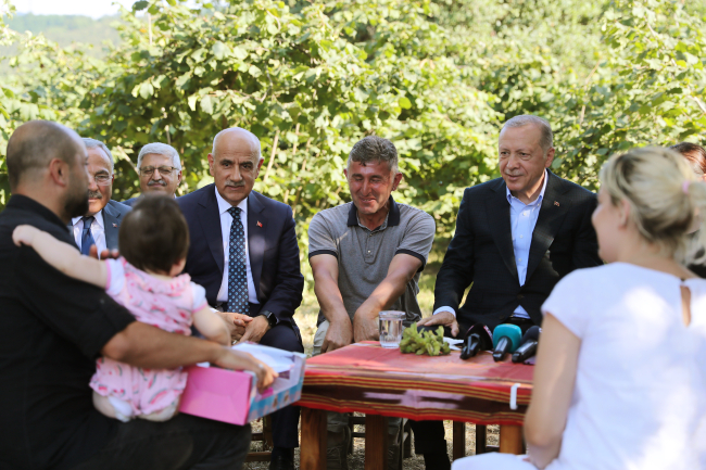 Cumhurbaşkanı Erdoğan'dan fındık bahçesi ziyareti