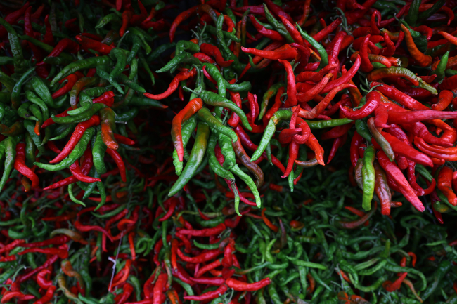 Tava ciğerin lezzet ortağı "Karaağaç biberi"ni kurutma mesaisi başladı