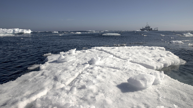 Azalan deniz buzu dünya iklimini tehdit ediyor